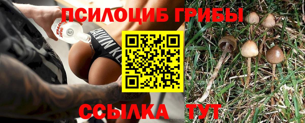 Галлюциногенные грибы GOLDEN TEACHER Мелеуз